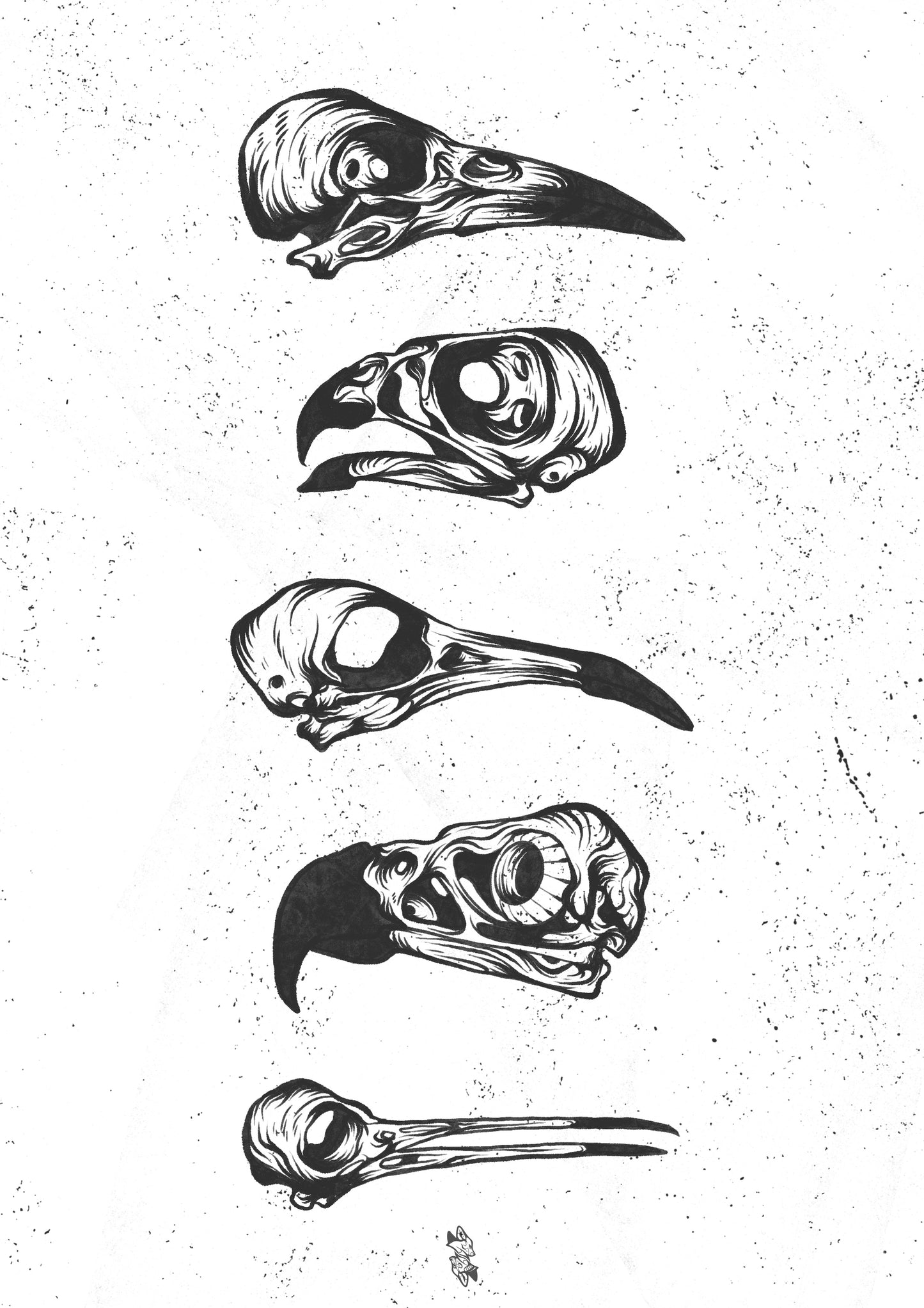 Bird Skulls - Digital Print (A4)